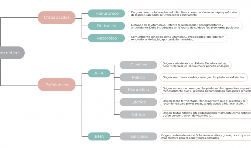 ¿Qué son los AHA y BHA? El nuevo idioma en el cuidado de la piel